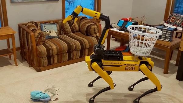 Dört ayaklı robot köpek Spot, kapıları açıp evi temizlerken, bahçede de kazı yapıp fidan dikebiliyor.