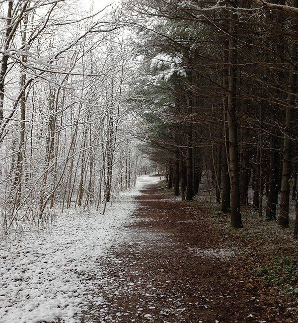 18. "Это очень напоминает мне о 2 мирах из "Хроник Нарнии".