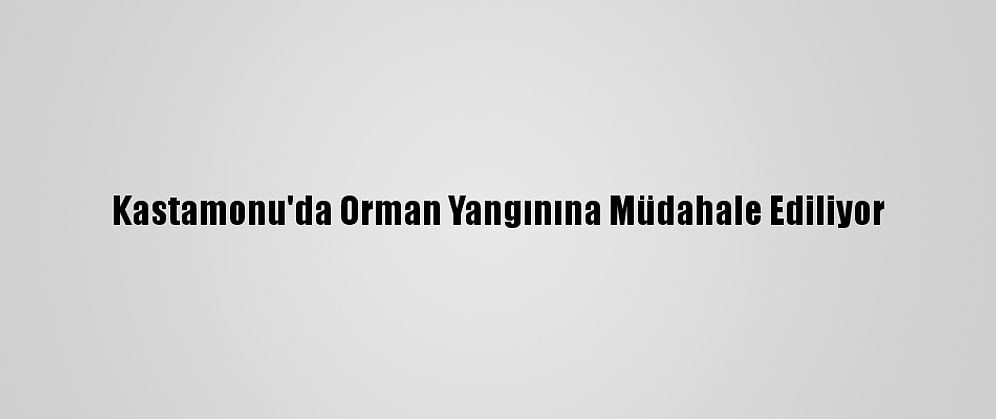 Kastamonu'da Orman Yangınına Müdahale Ediliyor