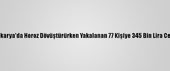 Sakarya'da Horoz Dövüştürürken Yakalanan 77 Kişiye 345 Bin Lira Ceza