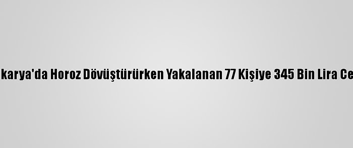 Sakarya'da Horoz Dövüştürürken Yakalanan 77 Kişiye 345 Bin Lira Ceza