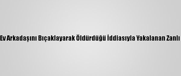 Kapak Görseli