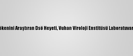 Kovid-19’Un Kökenini Araştıran Dsö Heyeti, Vuhan Viroloji Enstitüsü Laboratuvarını Ziyaret Etti