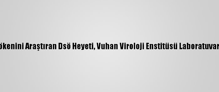 Kovid-19’Un Kökenini Araştıran Dsö Heyeti, Vuhan Viroloji Enstitüsü Laboratuvarını Ziyaret Etti