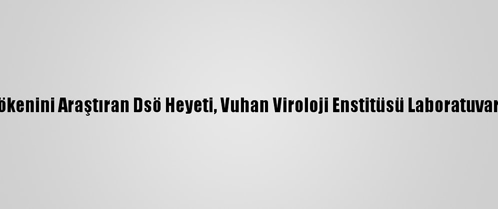 Kovid-19’Un Kökenini Araştıran Dsö Heyeti, Vuhan Viroloji Enstitüsü Laboratuvarını Ziyaret Etti