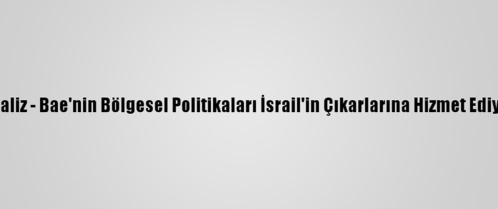 Analiz - Bae'nin Bölgesel Politikaları İsrail'in Çıkarlarına Hizmet Ediyor