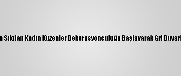 Masabaşı İşten Sıkılan Kadın Kuzenler Dekorasyonculuğa Başlayarak Gri Duvarlara Renk Kattı