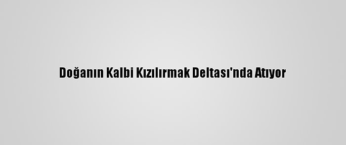 Doğanın Kalbi Kızılırmak Deltası'nda Atıyor