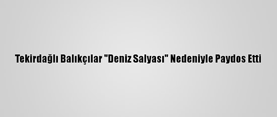 Tekirdağlı Balıkçılar "Deniz Salyası" Nedeniyle Paydos Etti