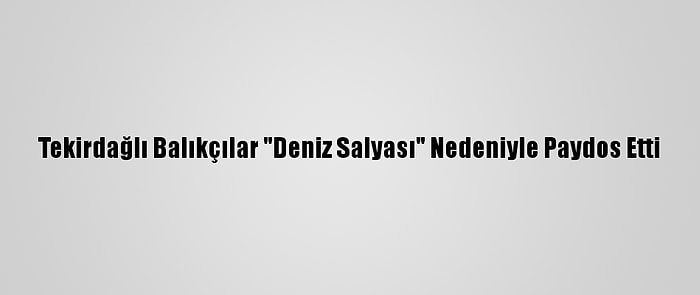 Tekirdağlı Balıkçılar "Deniz Salyası" Nedeniyle Paydos Etti