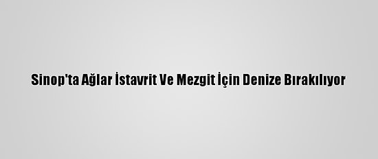 Sinop'ta Ağlar İstavrit Ve Mezgit İçin Denize Bırakılıyor