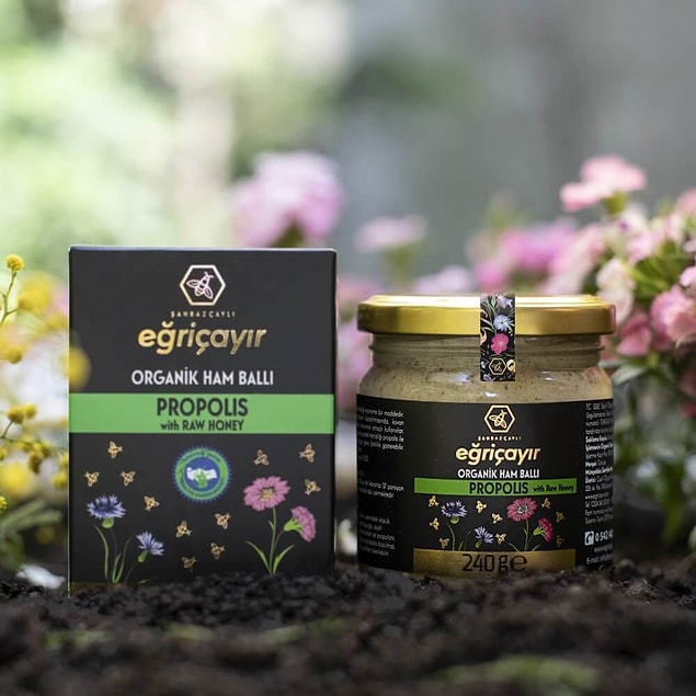 Eğriçayır'ın da alanında uzmanlaşmış olduğu propolis nedir?