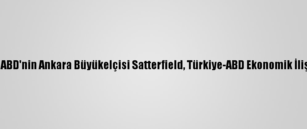 Yatırımcılara Altın Fırsatlar - ABD'nin Ankara Büyükelçisi Satterfield, Türkiye-ABD Ekonomik İlişkilerini Aa'ya Değerlendirdi: