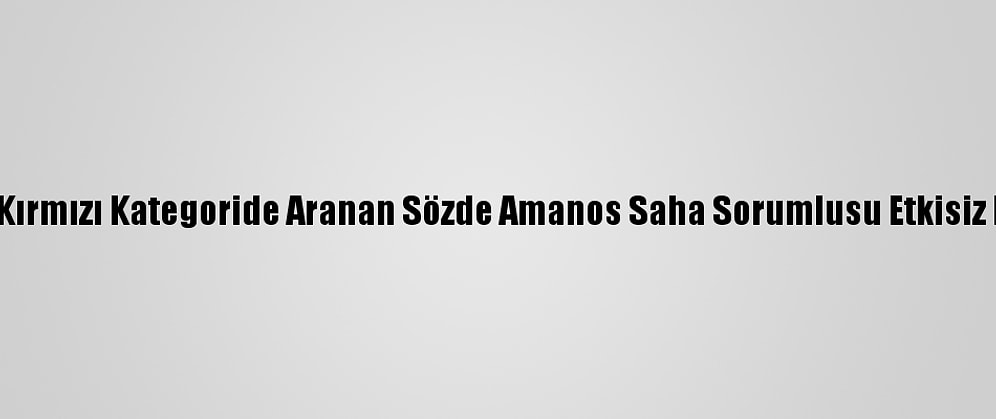 PKK/Kck'nın Kırmızı Kategoride Aranan Sözde Amanos Saha Sorumlusu Etkisiz Hale Getirildi