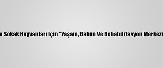 Zonguldak'ta Sokak Hayvanları İçin "Yaşam, Bakım Ve Rehabilitasyon Merkezi" Kurulacak