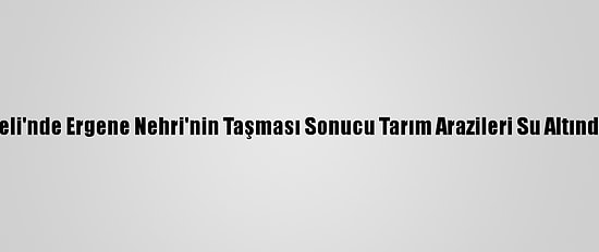 Kırklareli'nde Ergene Nehri'nin Taşması Sonucu Tarım Arazileri Su Altında Kaldı