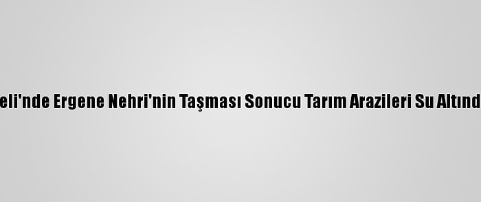 Kırklareli'nde Ergene Nehri'nin Taşması Sonucu Tarım Arazileri Su Altında Kaldı