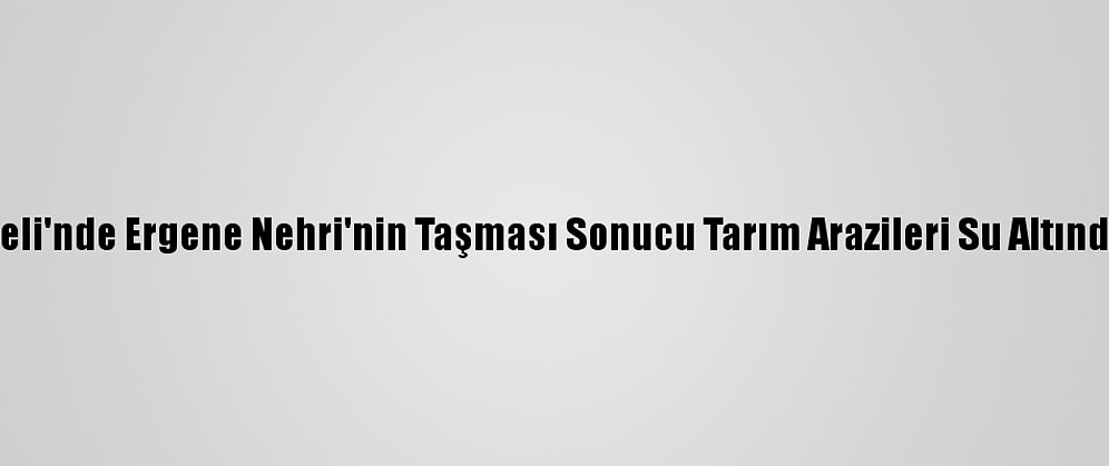 Kırklareli'nde Ergene Nehri'nin Taşması Sonucu Tarım Arazileri Su Altında Kaldı