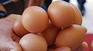 Yumurta Üreticisinden Gezen Tavuk Yumurtası Uyarısı: 'Bugün Ülkemizde Üretimi Mümkün Değil'