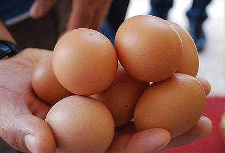 Yumurta Üreticisinden Gezen Tavuk Yumurtası Uyarısı: 'Bugün Ülkemizde Üretimi Mümkün Değil'