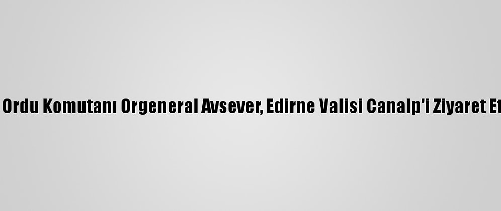 1. Ordu Komutanı Orgeneral Avsever, Edirne Valisi Canalp'i Ziyaret Etti