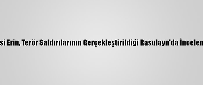 Şanlıurfa Valisi Erin, Terör Saldırılarının Gerçekleştirildiği Rasulayn'da İncelemede Bulundu