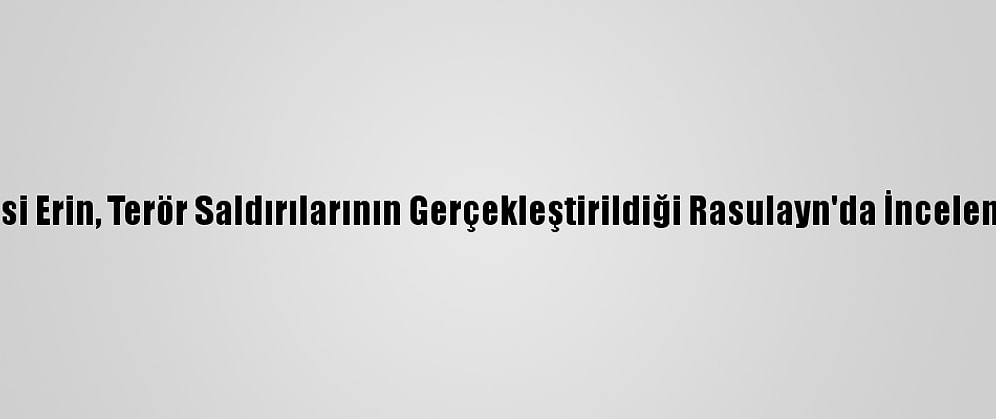Şanlıurfa Valisi Erin, Terör Saldırılarının Gerçekleştirildiği Rasulayn'da İncelemede Bulundu