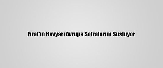 Fırat'ın Havyarı Avrupa Sofralarını Süslüyor