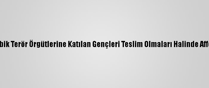 Mozambik Terör Örgütlerine Katılan Gençleri Teslim Olmaları Halinde Affedecek