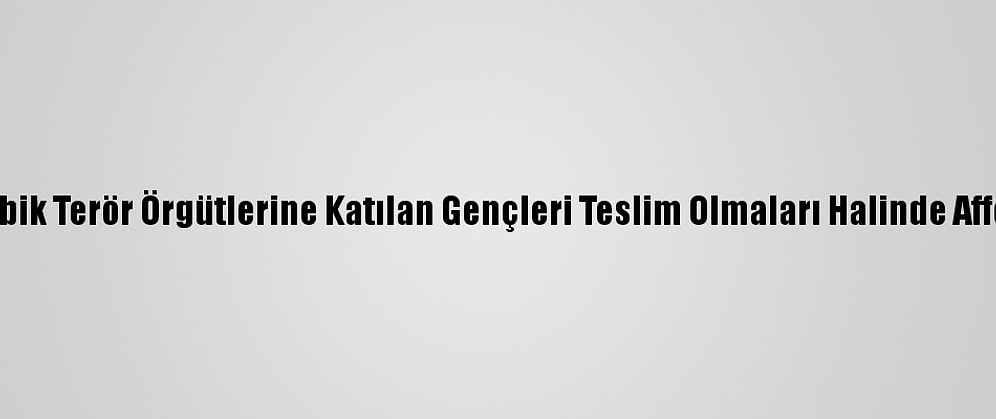 Mozambik Terör Örgütlerine Katılan Gençleri Teslim Olmaları Halinde Affedecek