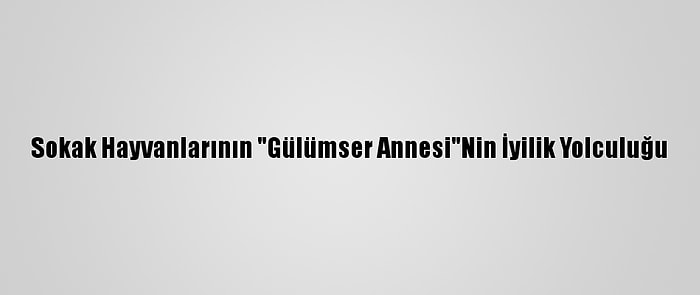 Sokak Hayvanlarının "Gülümser Annesi"Nin İyilik Yolculuğu