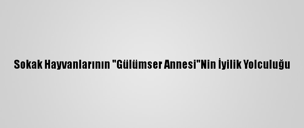 Sokak Hayvanlarının "Gülümser Annesi"Nin İyilik Yolculuğu