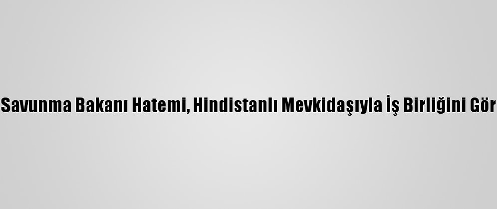 İran Savunma Bakanı Hatemi, Hindistanlı Mevkidaşıyla İş Birliğini Görüştü