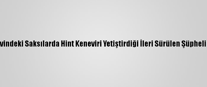 Hatay'da Evindeki Saksılarda Hint Keneviri Yetiştirdiği İleri Sürülen Şüpheli Yakalandı