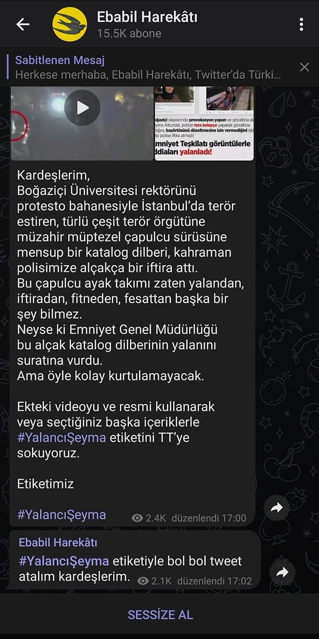 #YalancıŞeyma hashtag'i bir anda popüler oldu.