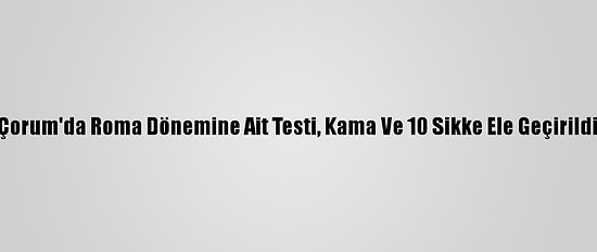 Çorum'da Roma Dönemine Ait Testi, Kama Ve 10 Sikke Ele Geçirildi