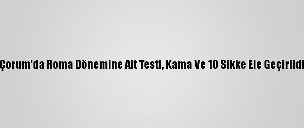 Çorum'da Roma Dönemine Ait Testi, Kama Ve 10 Sikke Ele Geçirildi