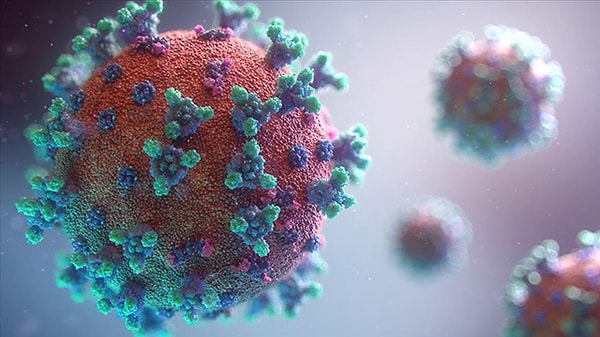 Mutasyonlu Koronavirüs Nedir?