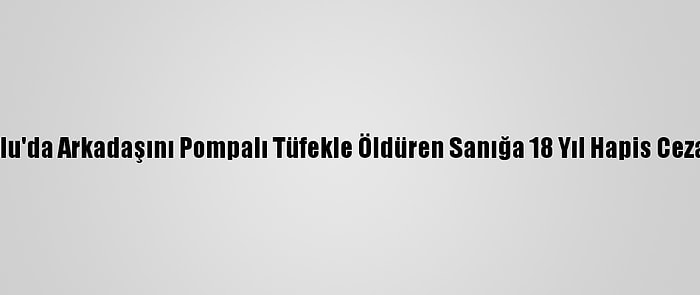 Bolu'da Arkadaşını Pompalı Tüfekle Öldüren Sanığa 18 Yıl Hapis Cezası