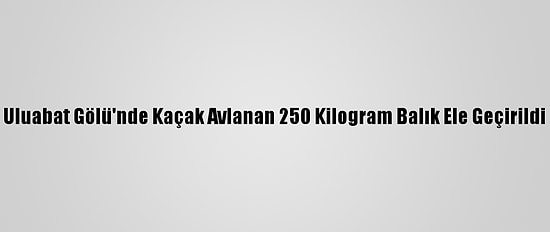 Uluabat Gölü'nde Kaçak Avlanan 250 Kilogram Balık Ele Geçirildi