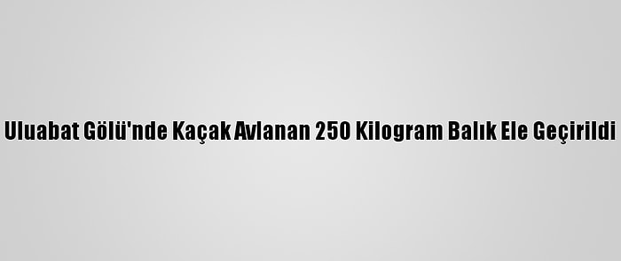 Uluabat Gölü'nde Kaçak Avlanan 250 Kilogram Balık Ele Geçirildi