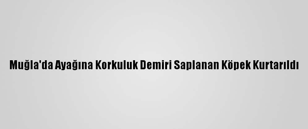 Muğla'da Ayağına Korkuluk Demiri Saplanan Köpek Kurtarıldı