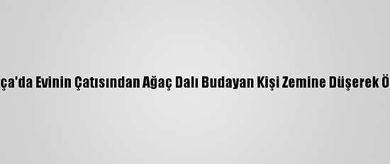 Datça'da Evinin Çatısından Ağaç Dalı Budayan Kişi Zemine Düşerek Öldü