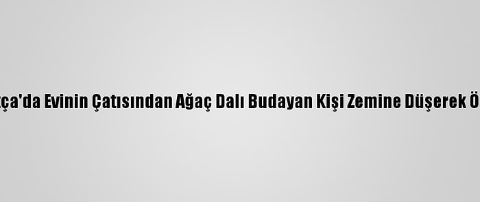 Datça'da Evinin Çatısından Ağaç Dalı Budayan Kişi Zemine Düşerek Öldü