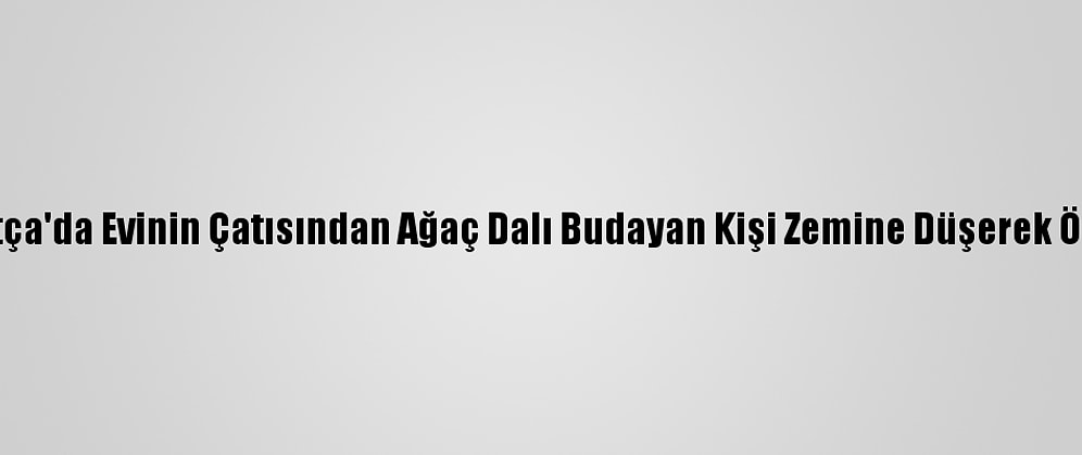 Datça'da Evinin Çatısından Ağaç Dalı Budayan Kişi Zemine Düşerek Öldü