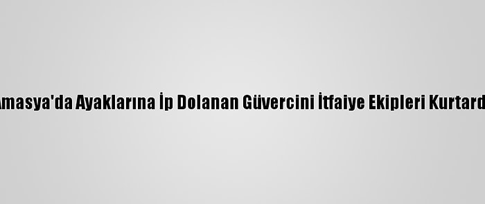 Amasya'da Ayaklarına İp Dolanan Güvercini İtfaiye Ekipleri Kurtardı