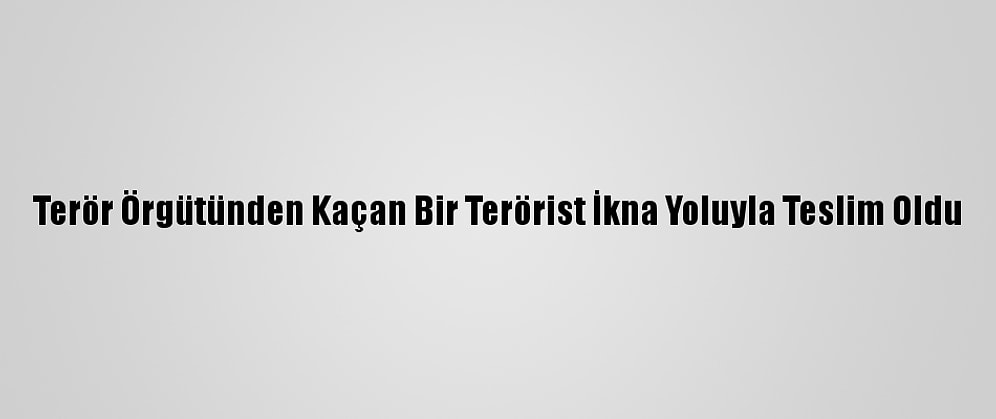 Terör Örgütünden Kaçan Bir Terörist İkna Yoluyla Teslim Oldu