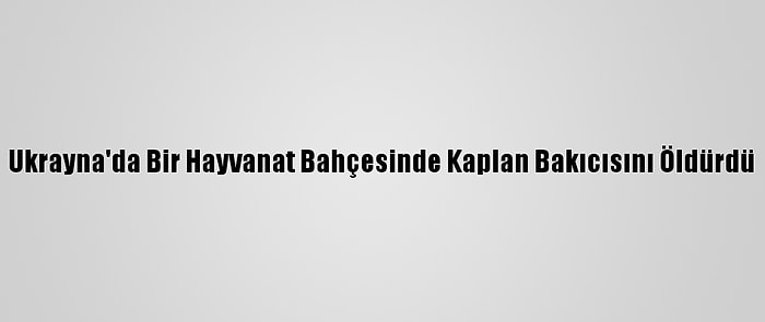 Ukrayna'da Bir Hayvanat Bahçesinde Kaplan Bakıcısını Öldürdü