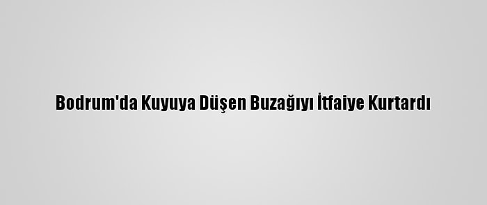 Bodrum'da Kuyuya Düşen Buzağıyı İtfaiye Kurtardı