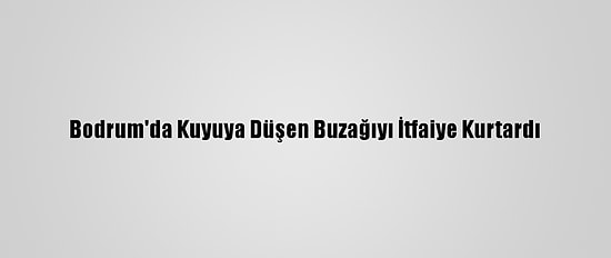 Bodrum'da Kuyuya Düşen Buzağıyı İtfaiye Kurtardı